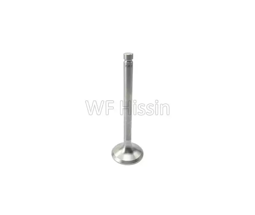 Exhaust valve SL